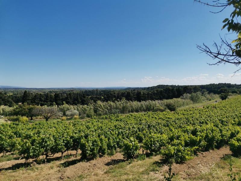 vue Alpilles